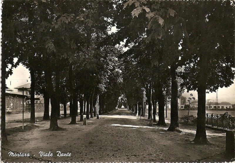 Lea Longa 1961.jpg