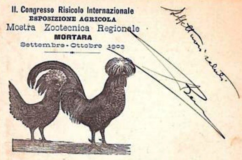 Mostra Agricola 1903.jpg