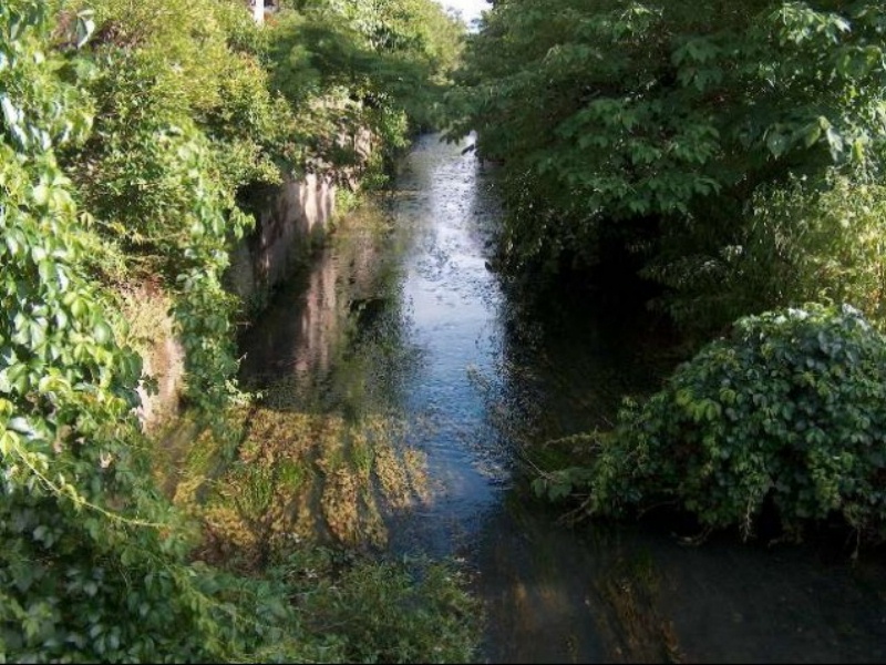 Torrente Arbogna - Rond della Battaglia 2004.JPG