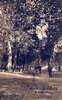 Lea Longa 1907.jpg