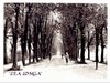 Lea Longa 1940.JPG