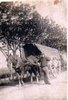 Zio Gagin - Olevano 1944.JPG