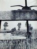z Chiusa su una roggia 1960.JPG