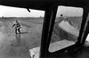z La semina 1950.jpg
