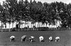 z Mondine 1930b.jpg