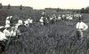 z Mondine 1930h.jpg