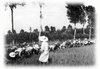 z Mondine 1933.jpg