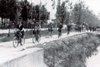 z Mondine 1941.jpg