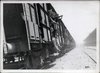 z Mondine 1947 arrivo in stazione.jpg