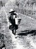 z Portatrice d'acqua 1937a.jpg