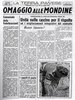 z Quotidiano locale 1.JPG