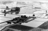 z Risaie dall'alto 1939.jpg