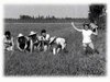z mondine 1935b.JPG