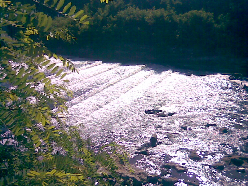 z Chiusa della Battaglia ad Olevano 2007.jpg