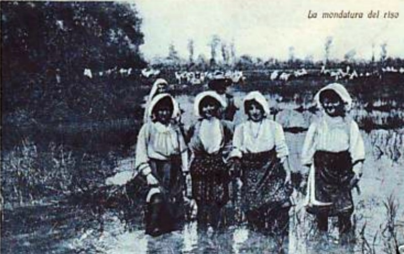 z Mondine 1925.jpg