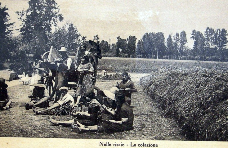 z Mondine 1932.jpg
