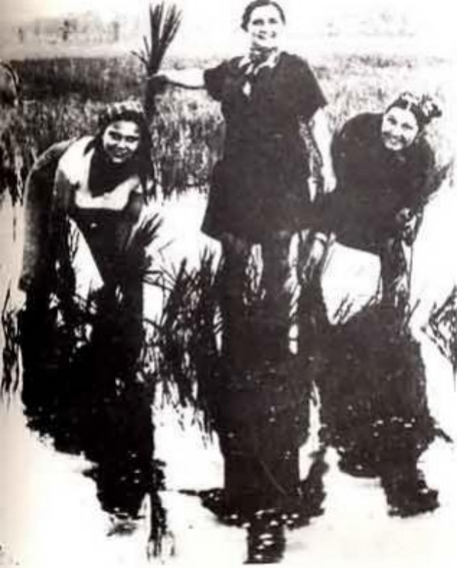 z Mondine 1939.jpg