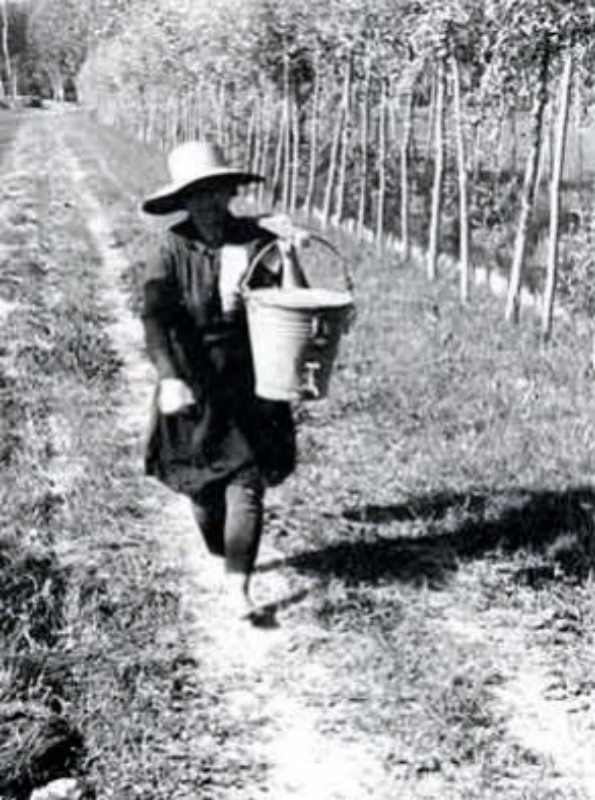 z Portatrice d'acqua 1937a.jpg