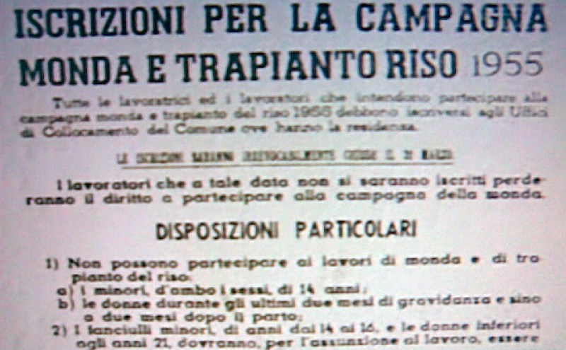 z Quotidiano locale 2.jpg