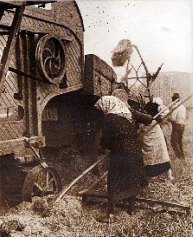 z Trebbiatrice 1940.jpg